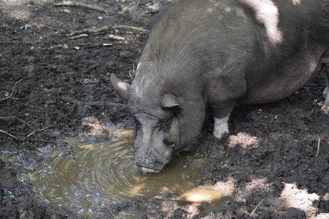 法律法规 法律法规