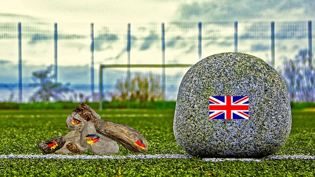 单季军的佳 单季军的佳