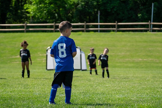 自身政治体 自身政治体