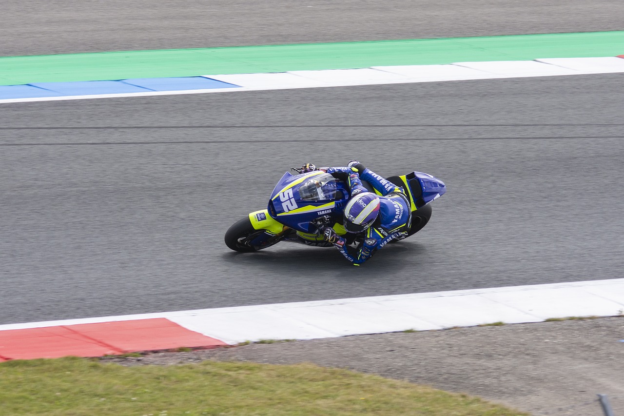 使得他不仅 使得他不仅