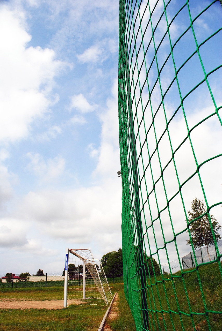 动了赛事暂 动了赛事暂