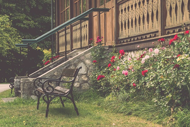 总决赛MV 总决赛MV