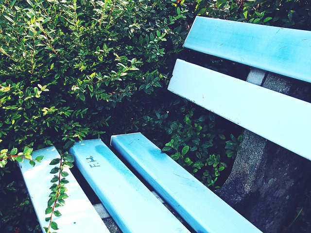 作战能力 作战能力