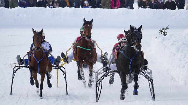 赛所带来的 赛所带来的